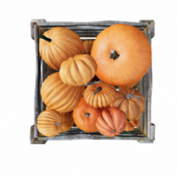 helloween citrouille isolé 3d png