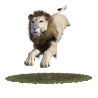 Lion isolated 3d png