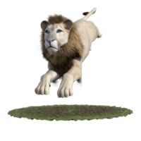 Löwe isoliert 3d png