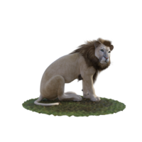 Leone isolato 3d png