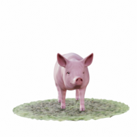 cerdo aislado 3d png