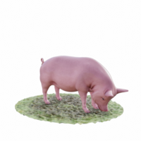 cerdo aislado 3d png