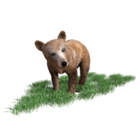 3d rendering of a brown bear on grass png