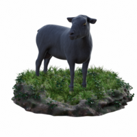 schapen geïsoleerd 3d png