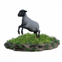 Sheep isolated 3d png