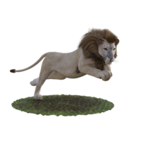 lejon isolerat 3d png