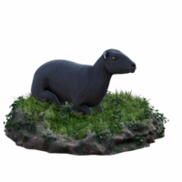 mouton isolé 3d png