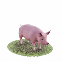 maiale isolato 3d png