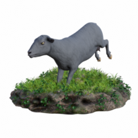 schapen geïsoleerd 3d png