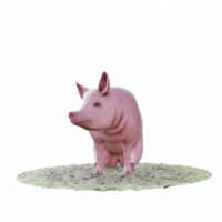 Schwein isoliert 3d png