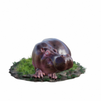 ippopotamo isolato 3d png