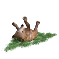 3d rendering of a brown bear on grass png