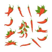 conjunto de rojo chile vector ilustración