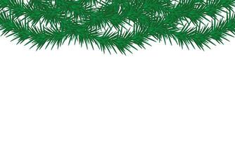 Vector pine tree branch border green fir twigs frame