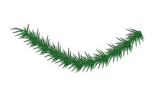 Vector pine tree branch christmas garland green fir twig