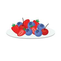 Vector berries vector illustration on white background