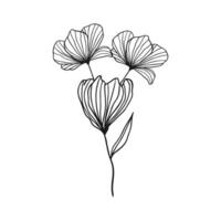 Vector hand drawn simple flower outline