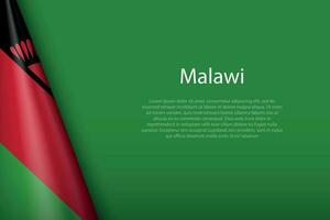 national flag Malawi isolated on background with copyspace vector