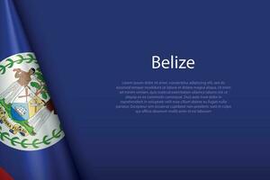 national flag Belize isolated on background with copyspace vector