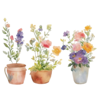 Blume Topf Aquarell png