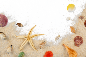 beach sand frame with starfish and shell png