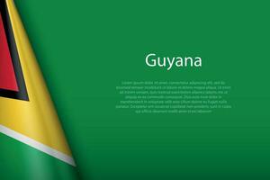 national flag Guyana isolated on background with copyspace vector