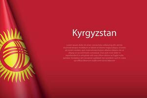 national flag Kyrgyzstan isolated on background with copyspace vector