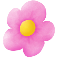 Pink flower blooming png