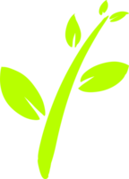 Organic fresh leaves png