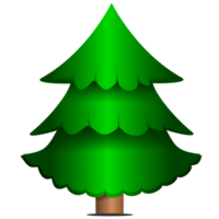 árbol verde pino png