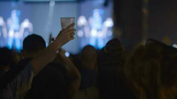 aufgeregt jung Fans beim das Konzert video