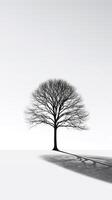 Embodying solitude - Monochromatic image of a lone tree casting shadows against a stark white background AI Generative photo