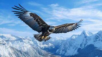 Majestic eagle soaring above a pristine, snow-capped mountain range under a blue sky photo
