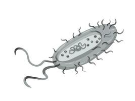 escala de grises monochome bacterias estructura vector ilustración aislado en cuadrado blanco antecedentes. sencillo plano dibujos animados Arte estilizado dibujo.