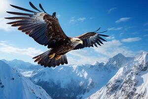 Majestic eagle soaring above a pristine, snow-capped mountain range under a blue sky photo