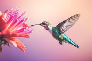 Minimalist capture of a hummingbird mid-flight sipping nectar from an exotic flower photo