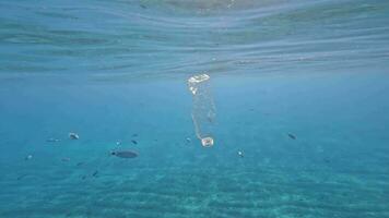 el plastico basura nada en el azul agua video