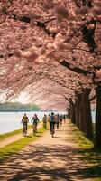 Expansive springtime park scene filled with blooming cherry blossoms and health-conscious individuals AI Generative photo