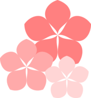 rosado sakura flores con pétalos japonés estilo png