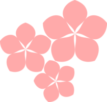 rosado sakura flores con pétalos japonés estilo png