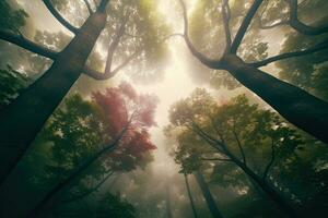 bosque tierra pulmones, clima cambio concepto arte, generativo ai foto