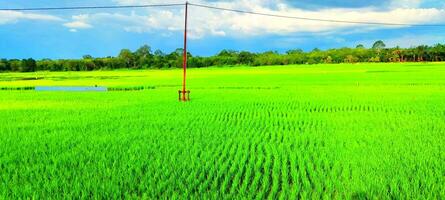 Sky and Fields Landscape photo