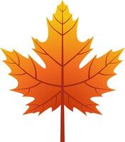 Maple leaf vector icon for autumn celebration. Fall season maple icon for cozy or hygge design graphic. Autumn leaf vector design for symbol, decoration or graphic resource