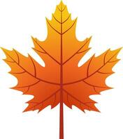 Maple leaf vector icon for autumn celebration. Fall season maple icon for cozy or hygge design graphic. Autumn leaf vector design for symbol, decoration or graphic resource