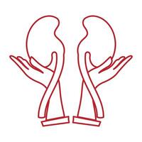 Kidney icon vector. vector