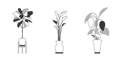 A set of indoor plants. Linear trendy style. Isolated. Vector illustration.