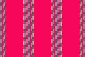 Lines vertical fabric of pattern seamless texture with a vector background textile stripe.