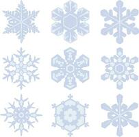 conjunto de copos de nieve aislado en blanco antecedentes vector