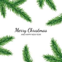 Merry Christmas and Happy New Year postcard with christmas tree branches isolated on white background vector