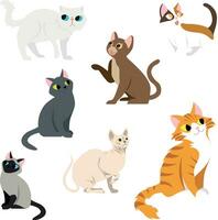 Set of funny different cats isolated on white background vector